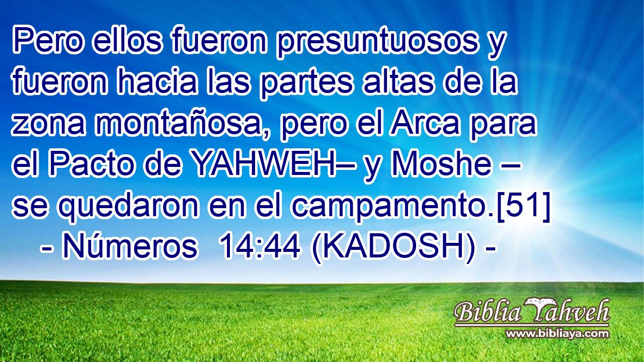  Pero ellos fueron presuntuosos y fueron hacia las partes altas de la zona montañosa, pero el Arca para el Pacto de YAHWEH– y Moshe – se quedaron en el campamento.[51] 
