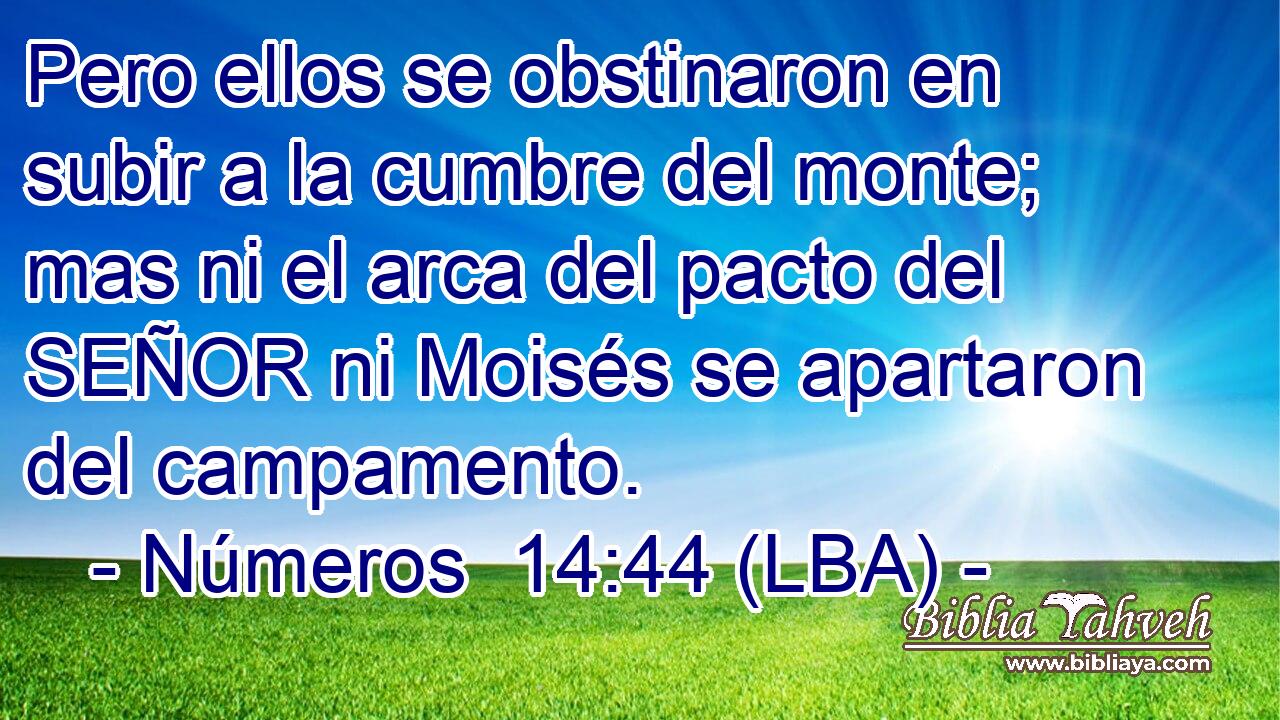 Pero ellos se obstinaron en subir a la cumbre del monte; mas ni el arca del pacto del SEÑOR ni Moisés se apartaron del campamento.