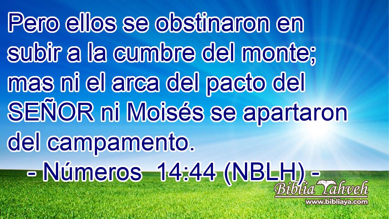  Pero ellos se obstinaron en subir a la cumbre del monte; mas ni el arca del pacto del SEÑOR ni Moisés se apartaron del campamento. 