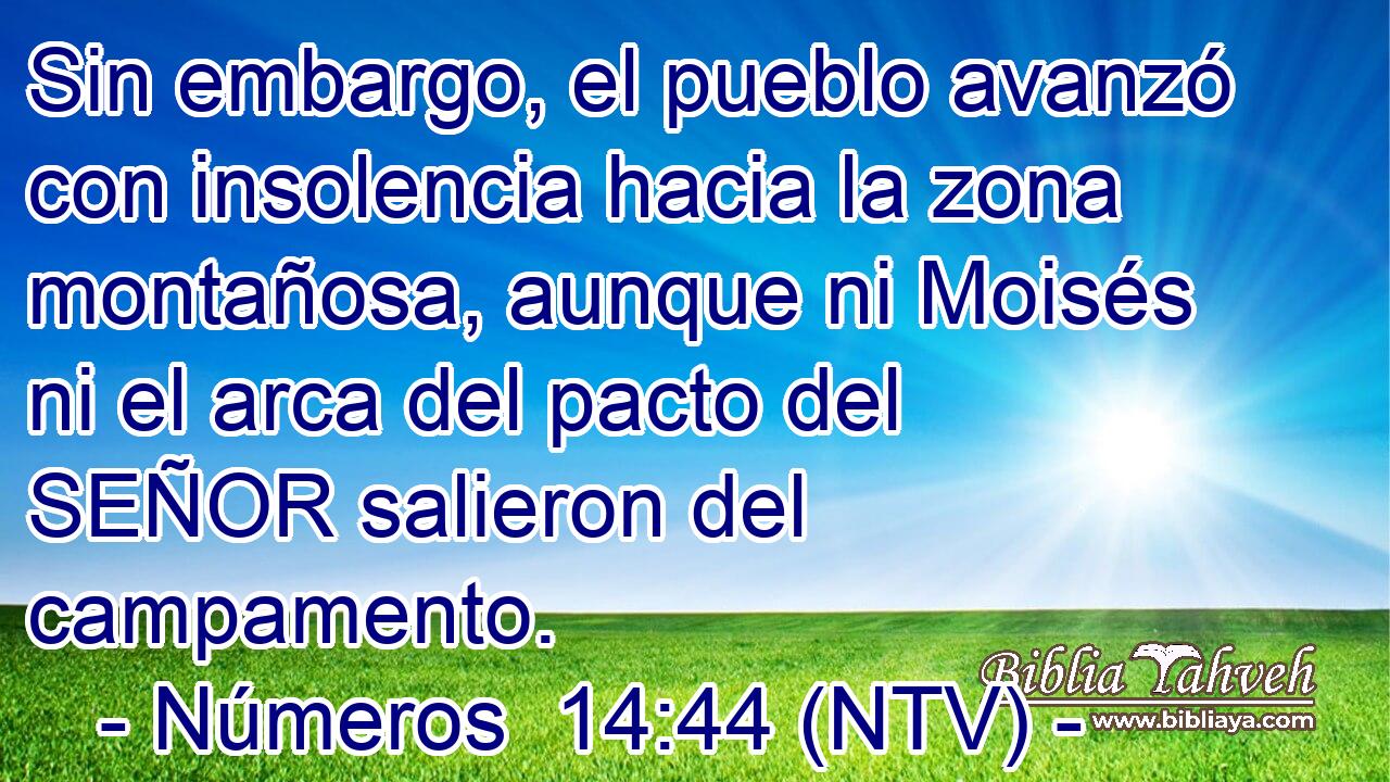 Sin embargo, el pueblo avanzó con insolencia hacia la zona montañosa, aunque ni Moisés ni el arca del pacto del SEÑOR salieron del campamento.