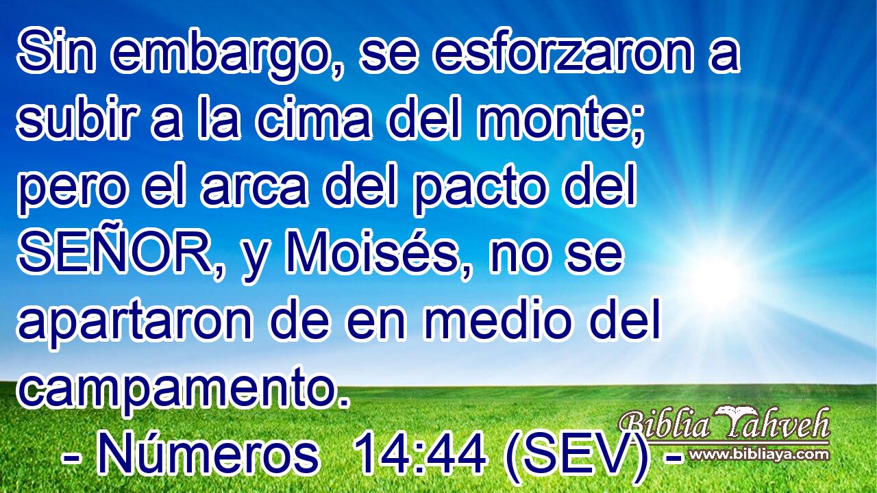Sin embargo, se esforzaron a subir a la cima del monte; pero el arca del pacto del SEÑOR, y Moisés, no se apartaron de en medio del campamento.