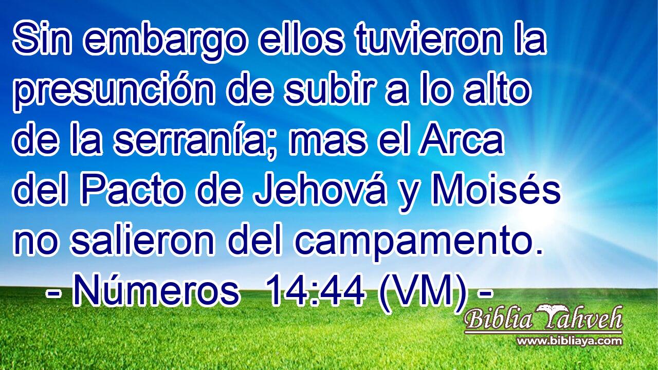 Sin embargo ellos tuvieron la presunción de subir a lo alto de la serranía; mas el Arca del Pacto de Jehová y Moisés no salieron del campamento. 