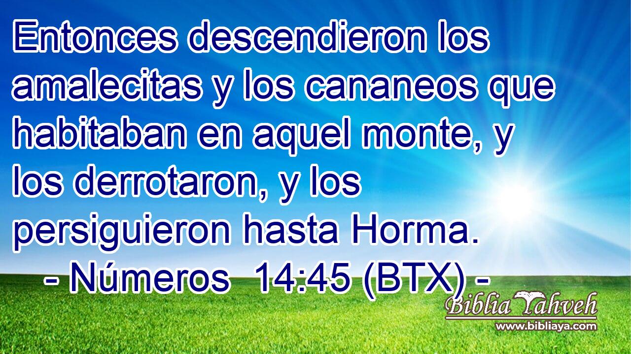 Entonces descendieron los amalecitas y los cananeos que habitaban en aquel monte, y los derrotaron, y los persiguieron hasta Horma.