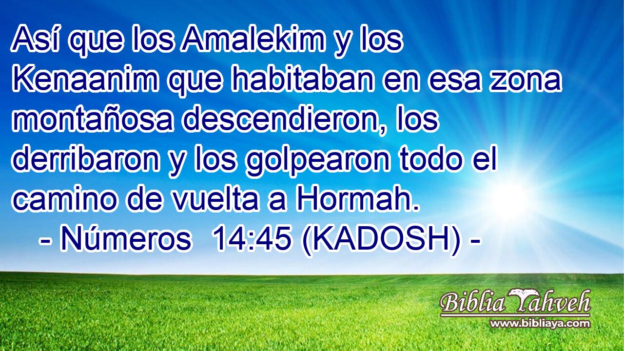  Así que los Amalekim y los Kenaanim que habitaban en esa zona montañosa descendieron, los derribaron y los golpearon todo el camino de vuelta a Hormah. 