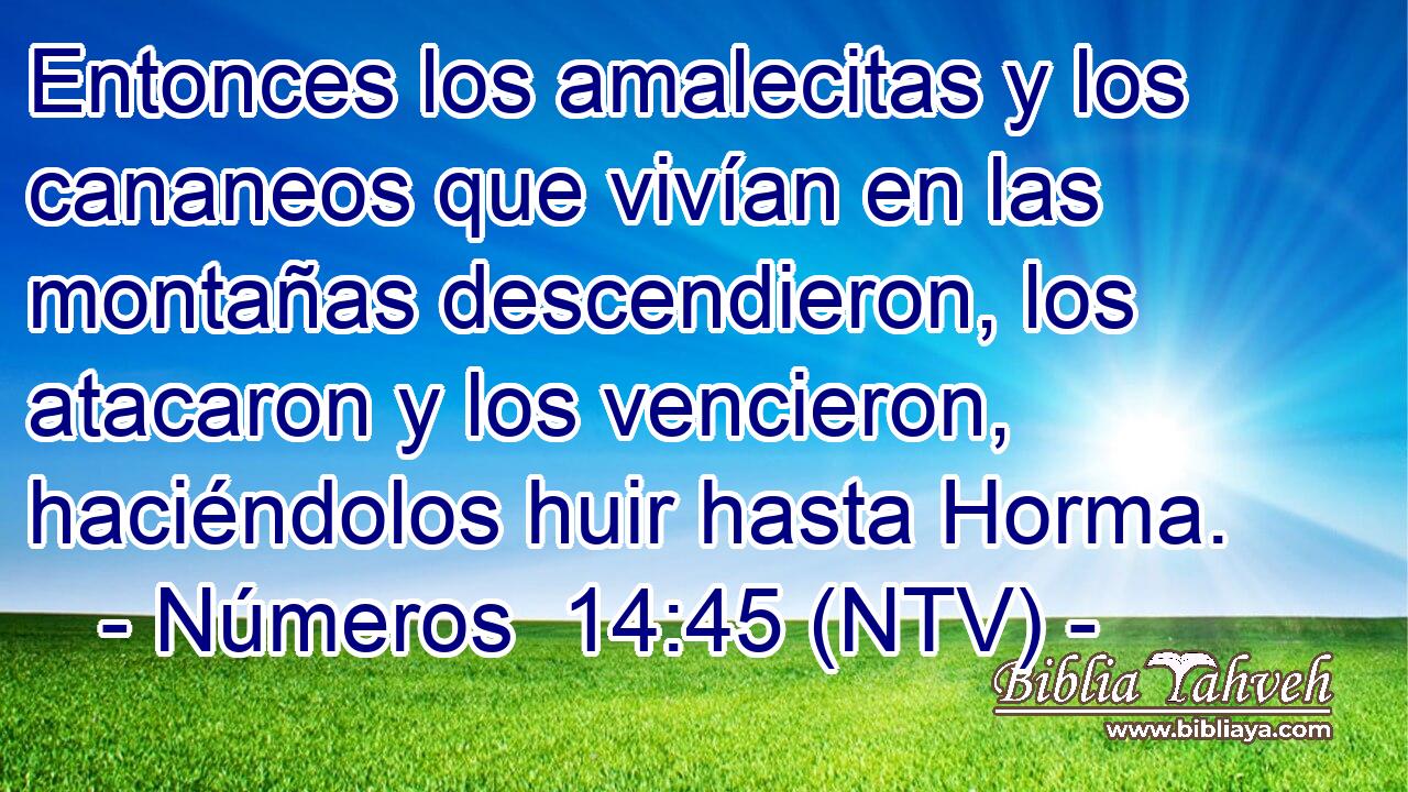 Entonces los amalecitas y los cananeos que vivían en las montañas descendieron, los atacaron y los vencieron, haciéndolos huir hasta Horma.