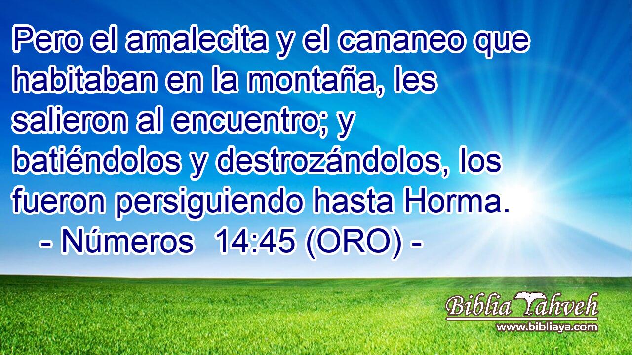  Pero el amalecita y el cananeo que habitaban en la montaña, les salieron al encuentro; y batiéndolos y destrozándolos, los fueron persiguiendo hasta Horma. 