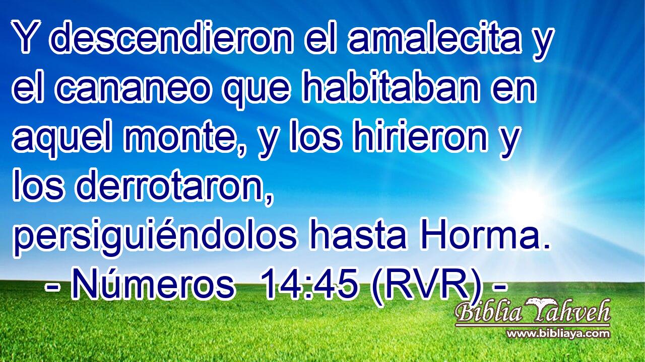 Y descendieron el amalecita y el cananeo que habitaban en aquel monte, y los hirieron y los derrotaron, persiguiéndolos hasta Horma.