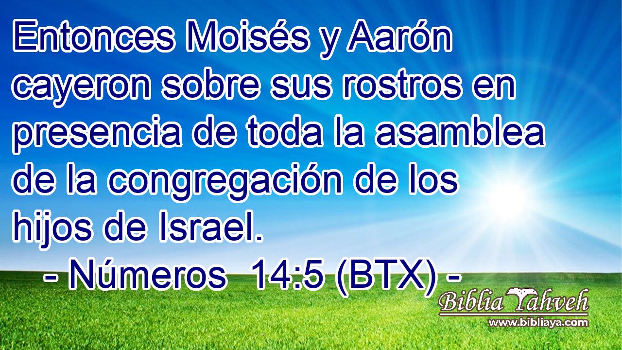 Entonces Moisés y Aarón cayeron sobre sus rostros en presencia de toda la asamblea de la congregación de los hijos de Israel.