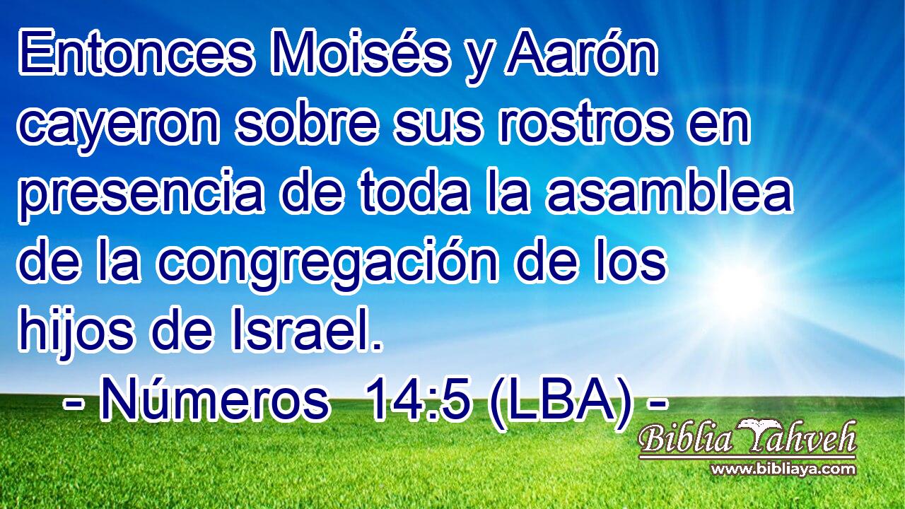Entonces Moisés y Aarón cayeron sobre sus rostros en presencia de toda la asamblea de la congregación de los hijos de Israel.