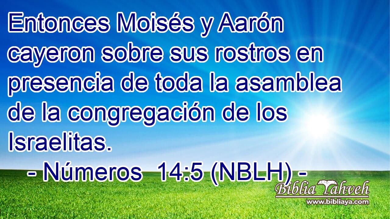  Entonces Moisés y Aarón cayeron sobre sus rostros en presencia de toda la asamblea de la congregación de los Israelitas. 