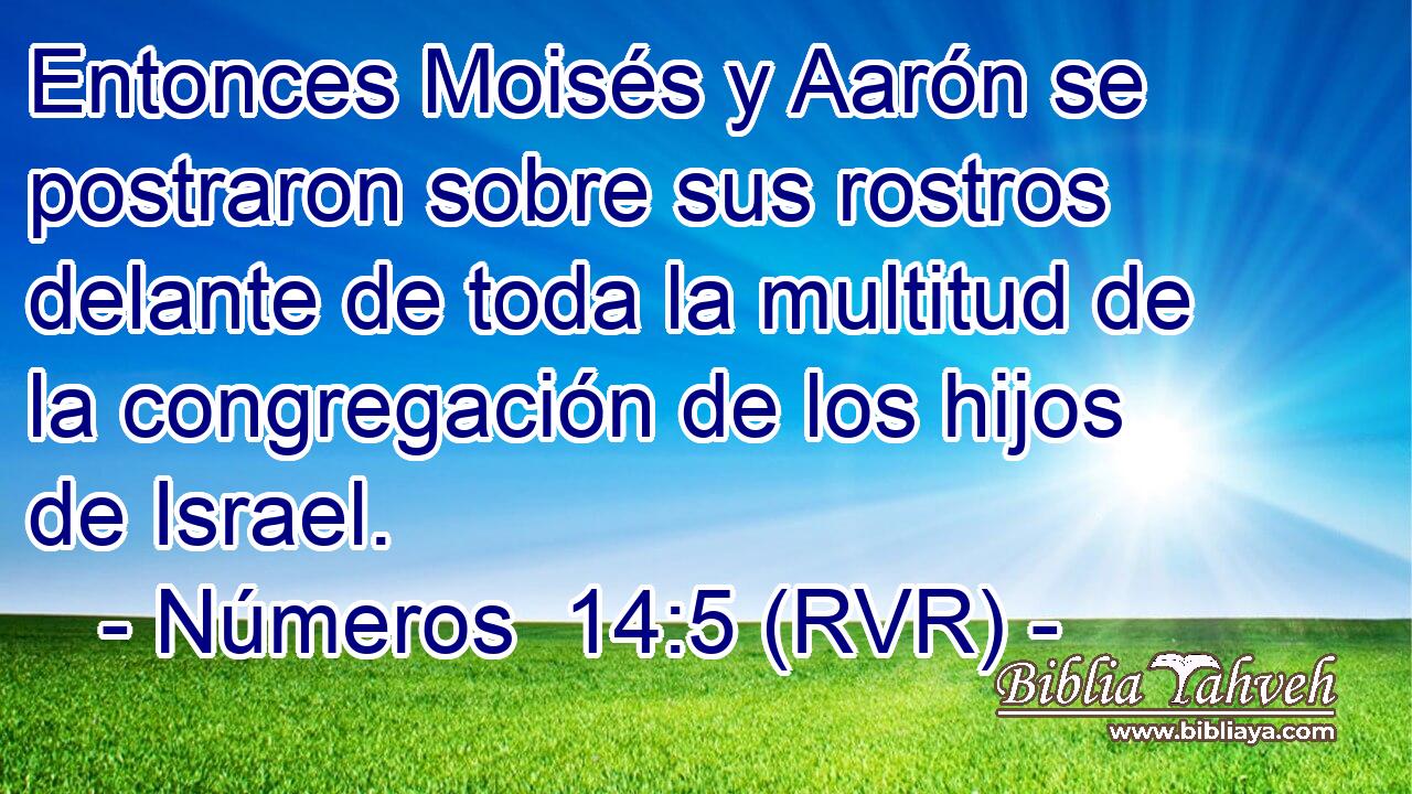 Entonces Moisés y Aarón se postraron sobre sus rostros delante de toda la multitud de la congregación de los hijos de Israel.