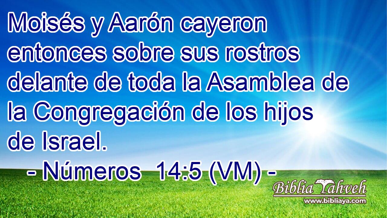  Moisés y Aarón cayeron entonces sobre sus rostros delante de toda la Asamblea de la Congregación de los hijos de Israel. 