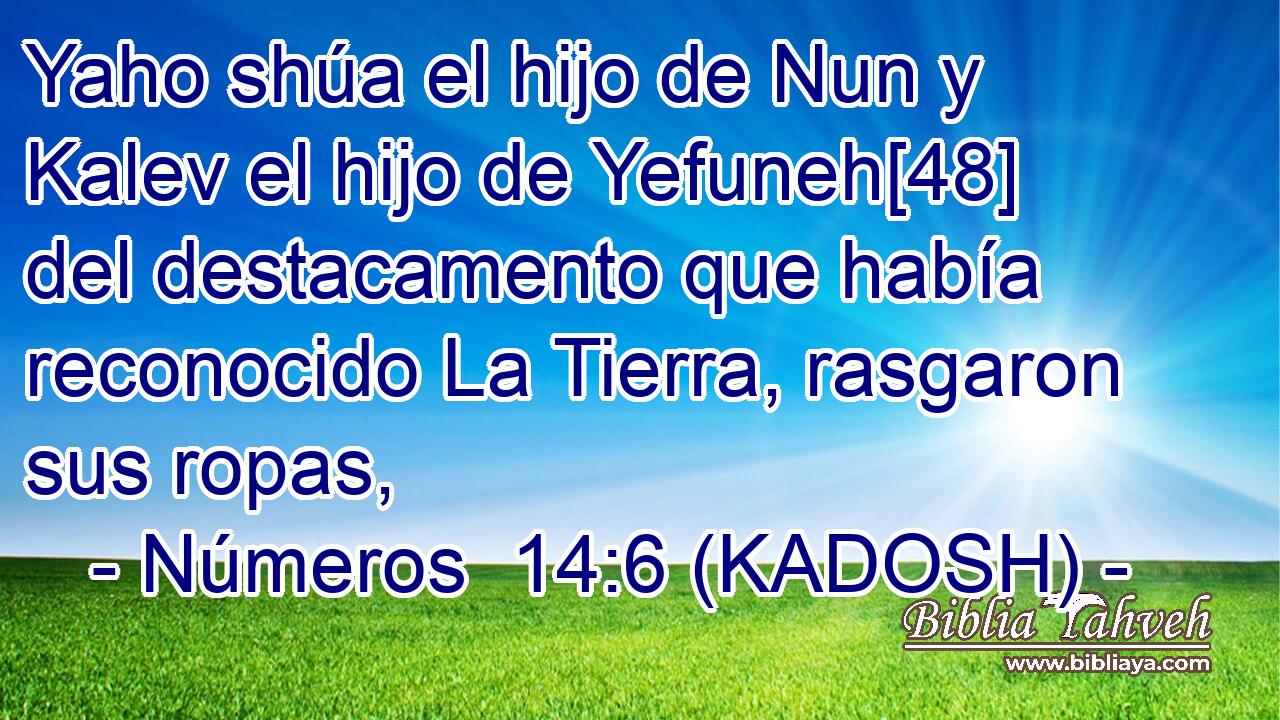  Yaho shúa el hijo de Nun y Kalev el hijo de Yefuneh[48] del destacamento que había reconocido La Tierra, rasgaron sus ropas, 