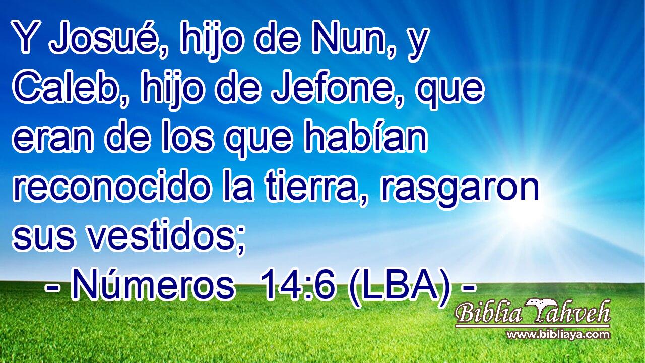 Y Josué, hijo de Nun, y Caleb, hijo de Jefone, que eran de los que habían reconocido la tierra, rasgaron sus vestidos;