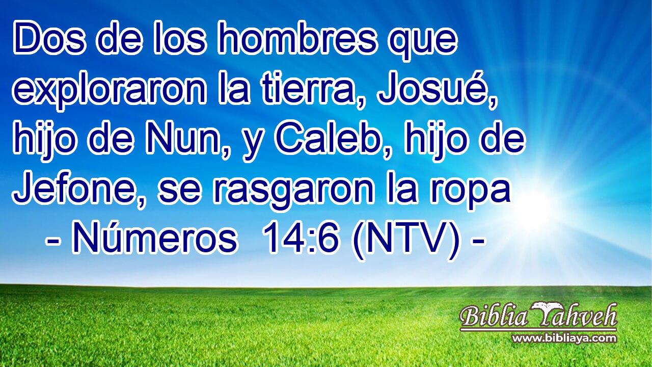 Dos de los hombres que exploraron la tierra, Josué, hijo de Nun, y Caleb, hijo de Jefone, se rasgaron la ropa