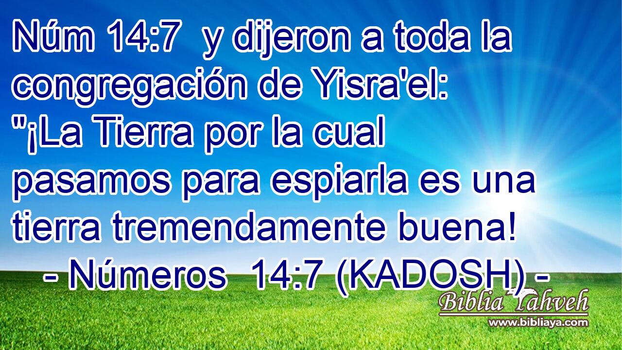  y dijeron a toda la congregación de Yisra'el: 