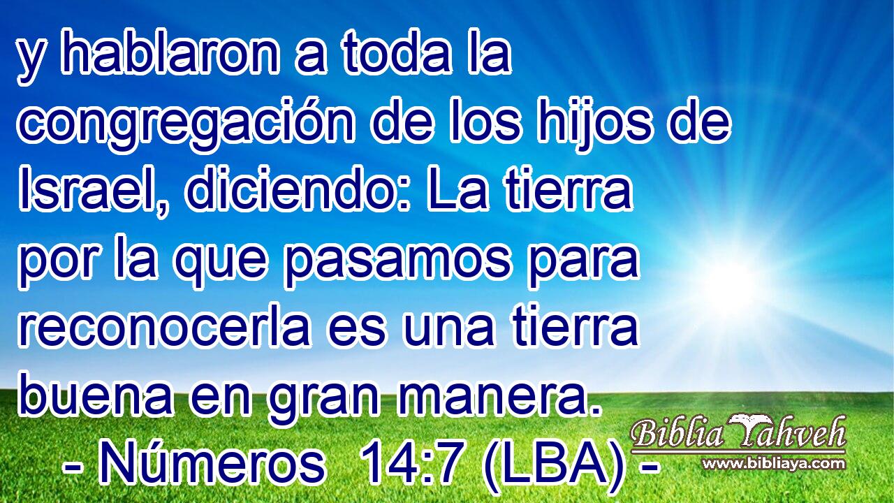 y hablaron a toda la congregación de los hijos de Israel, diciendo: La tierra por la que pasamos para reconocerla es una tierra buena en gran manera.
