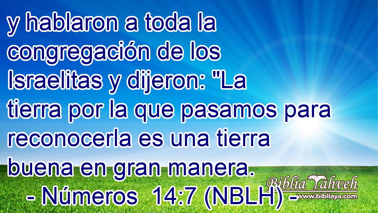  y hablaron a toda la congregación de los Israelitas y dijeron: 