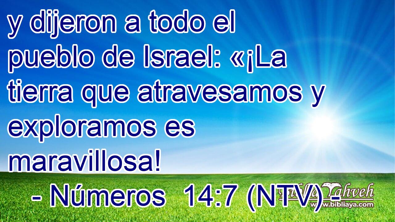 y dijeron a todo el pueblo de Israel: «¡La tierra que atravesamos y exploramos es maravillosa!