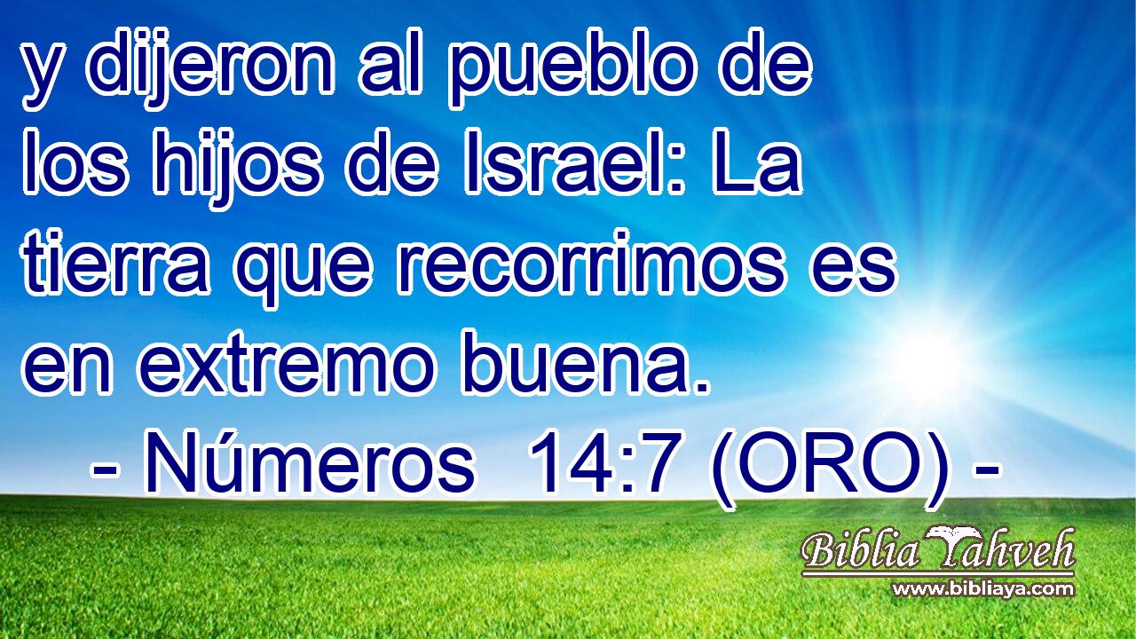  y dijeron al pueblo de los hijos de Israel: La tierra que recorrimos es en extremo buena. 