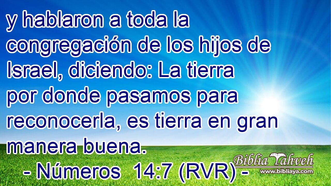 y hablaron a toda la congregación de los hijos de Israel, diciendo: La tierra por donde pasamos para reconocerla, es tierra en gran manera buena.