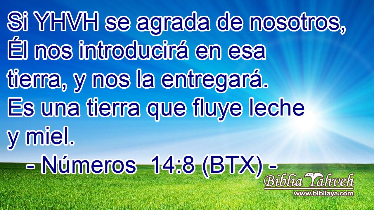 Si YHVH se agrada de nosotros, Él nos introducirá en esa tierra, y nos la entregará. Es una tierra que fluye leche y miel.