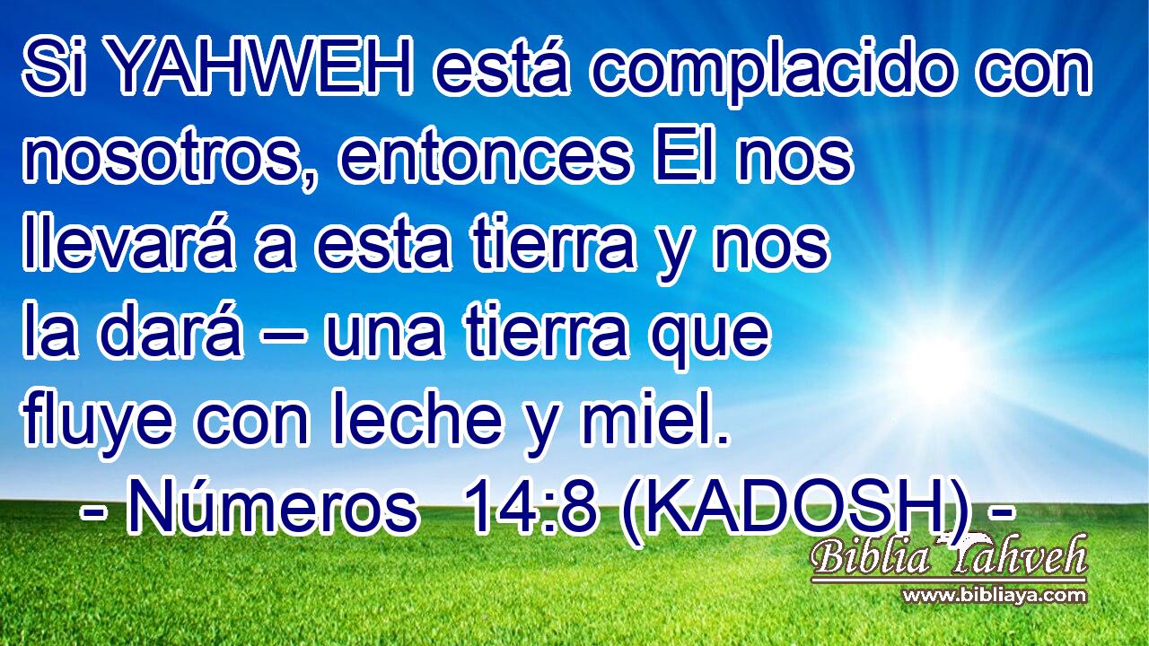  Si YAHWEH está complacido con nosotros, entonces El nos llevará a esta tierra y nos la dará – una tierra que fluye con leche y miel. 