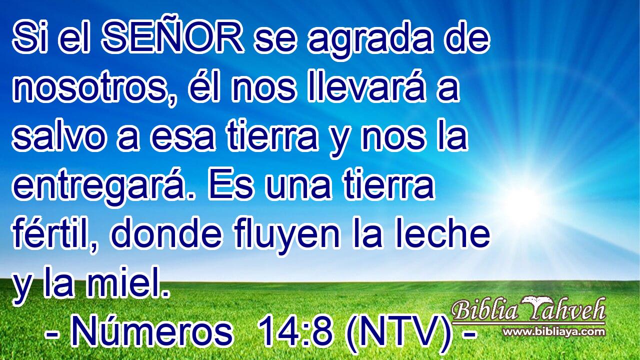 Si el SEÑOR se agrada de nosotros, él nos llevará a salvo a esa tierra y nos la entregará. Es una tierra fértil, donde fluyen la leche y la miel.