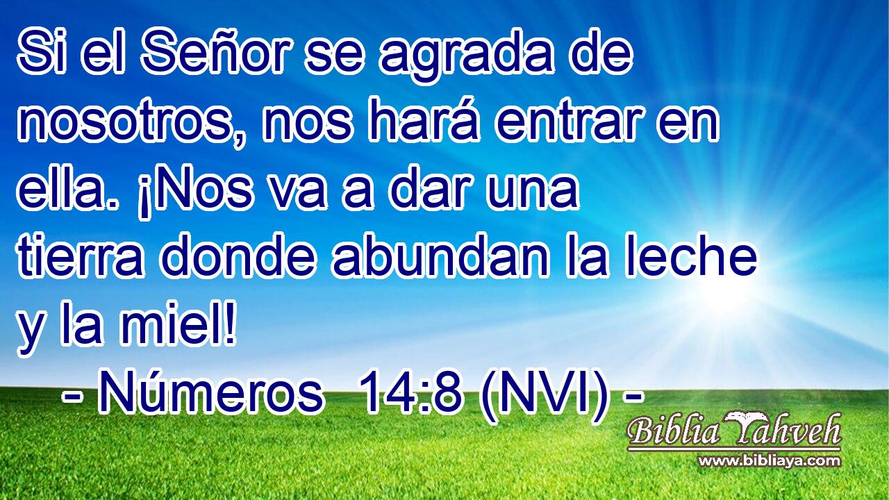  Si el Señor se agrada de nosotros, nos hará entrar en ella. ¡Nos va a dar una tierra donde abundan la leche y la miel! 