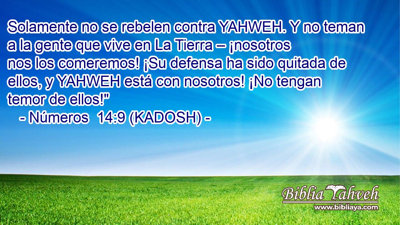  Solamente no se rebelen contra YAHWEH. Y no teman a la gente que vive en La Tierra – ¡nosotros nos los comeremos! ¡Su defensa ha sido quitada de ellos, y YAHWEH está con nosotros! ¡No tengan temor de ellos!