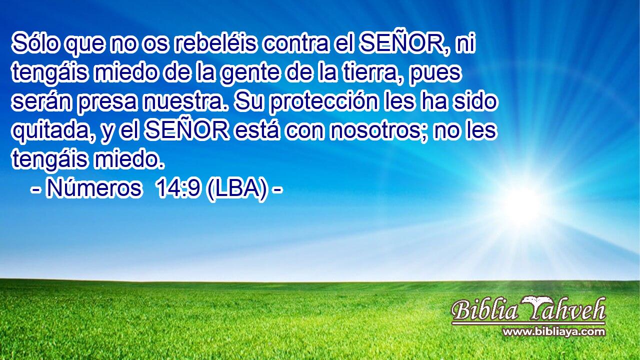 Sólo que no os rebeléis contra el SEÑOR, ni tengáis miedo de la gente de la tierra, pues serán presa nuestra. Su protección les ha sido quitada, y el SEÑOR está con nosotros; no les tengáis miedo.