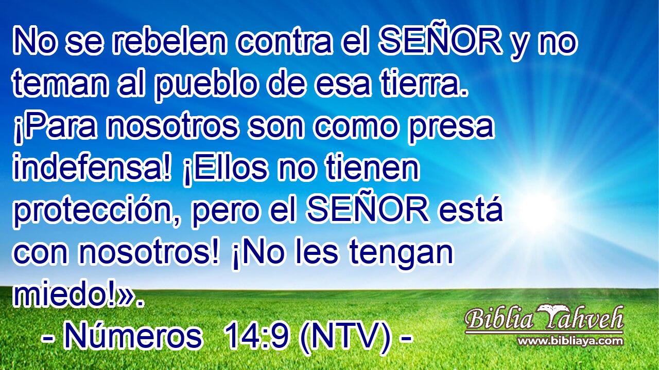No se rebelen contra el SEÑOR y no teman al pueblo de esa tierra. ¡Para nosotros son como presa indefensa! ¡Ellos no tienen protección, pero el SEÑOR está con nosotros! ¡No les tengan miedo!».