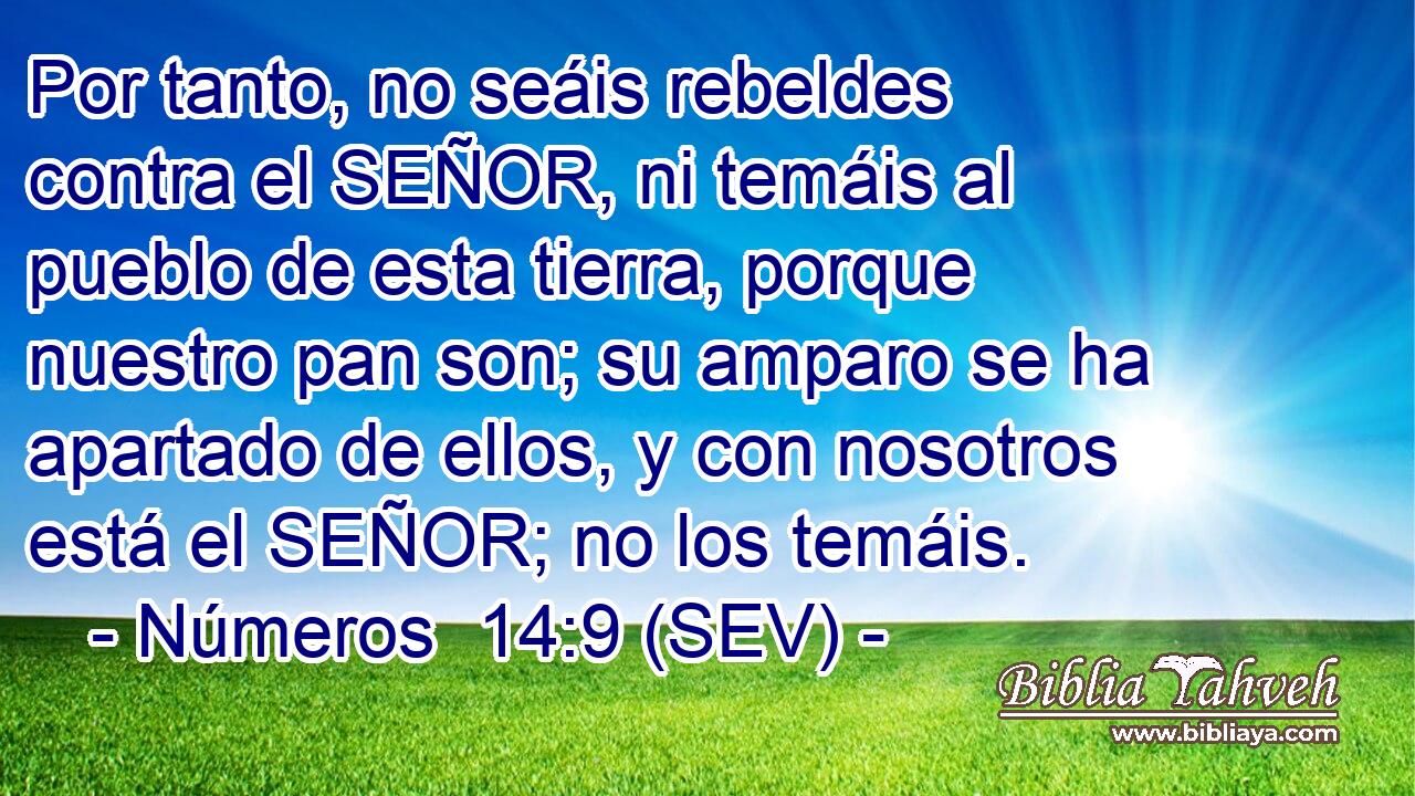 Por tanto, no seáis rebeldes contra el SEÑOR, ni temáis al pueblo de esta tierra, porque nuestro pan son; su amparo se ha apartado de ellos, y con nosotros está el SEÑOR; no los temáis.