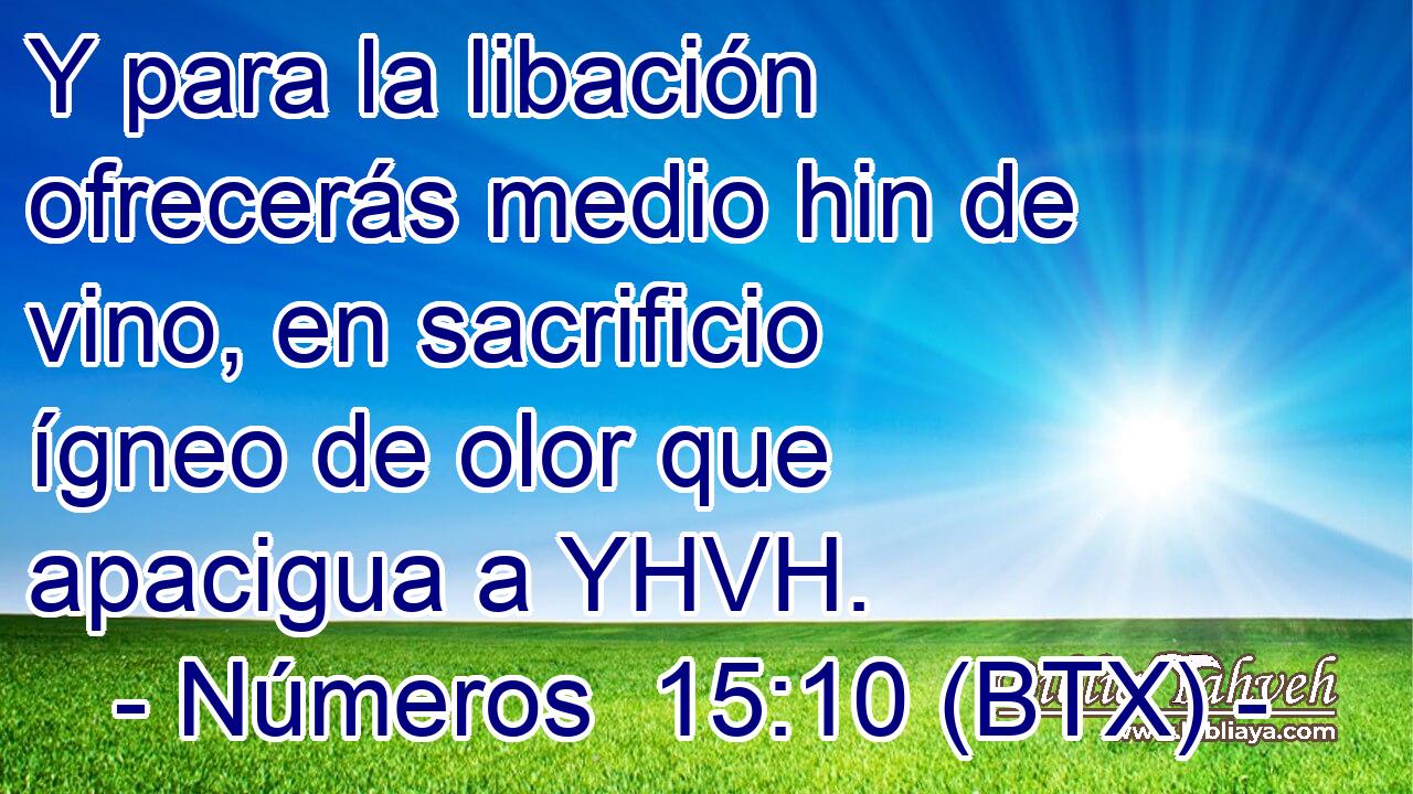 Y para la libación ofrecerás medio hin de vino, en sacrificio ígneo de olor que apacigua a YHVH.