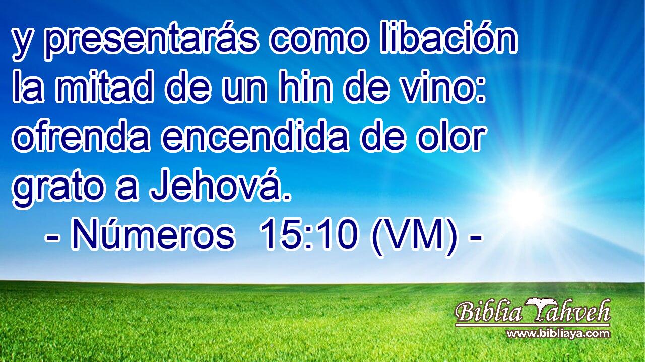  y presentarás como libación la mitad de un hin de vino: ofrenda encendida de olor grato a Jehová. 