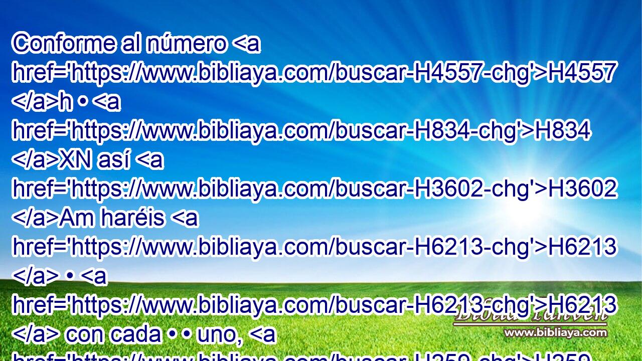 Conforme al número H4557 h • H834 XN así H3602 Am haréis H6213  • H6213  con cada • • uno, H259 h según el número H4557  de ellos. 