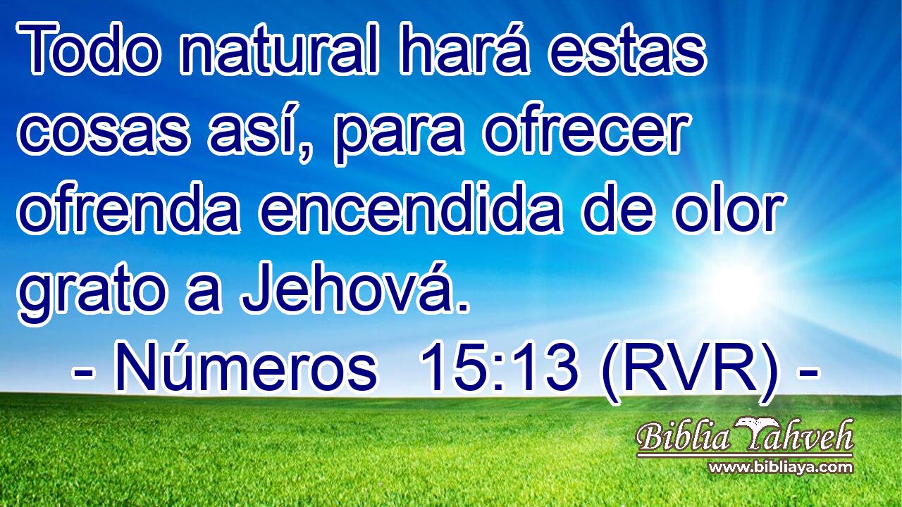 Todo natural hará estas cosas así, para ofrecer ofrenda encendida de olor grato a Jehová.