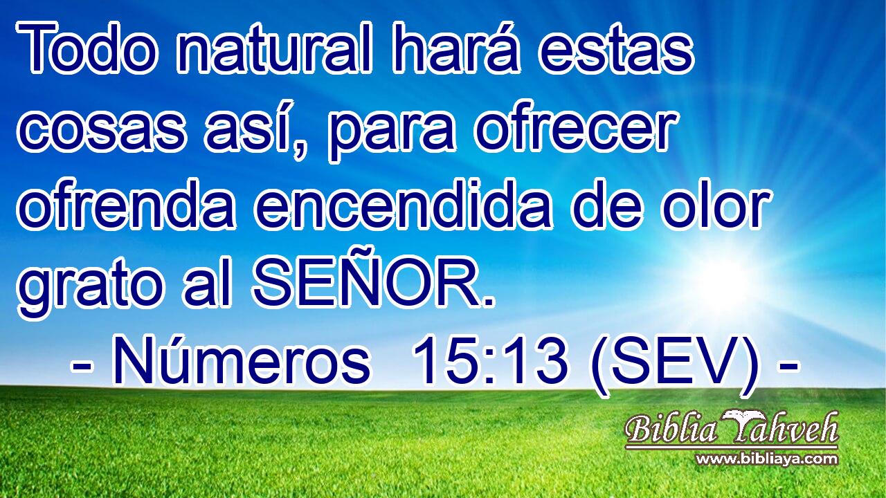 Todo natural hará estas cosas así, para ofrecer ofrenda encendida de olor grato al SEÑOR.
