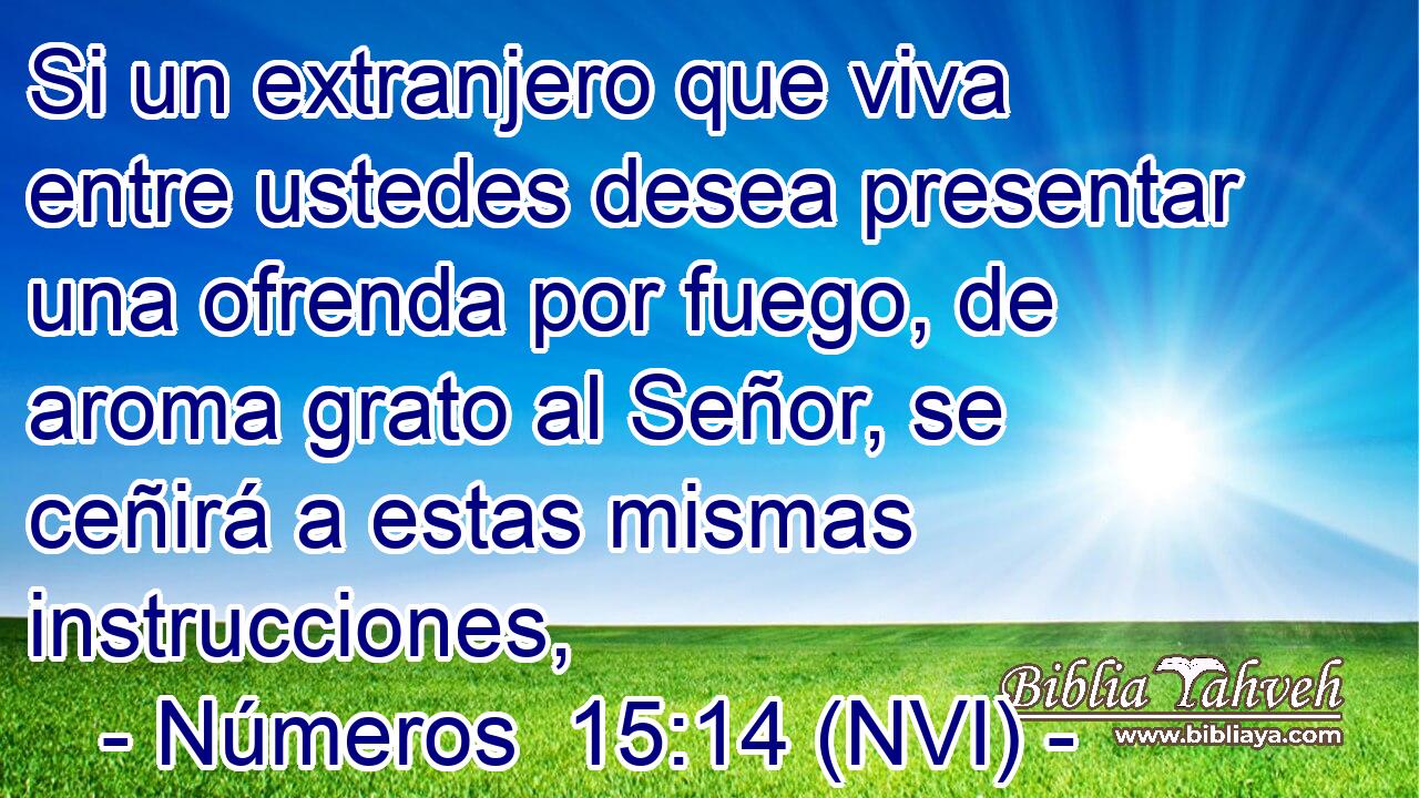  Si un extranjero que viva entre ustedes desea presentar una ofrenda por fuego, de aroma grato al Señor, se ceñirá a estas mismas instrucciones, 