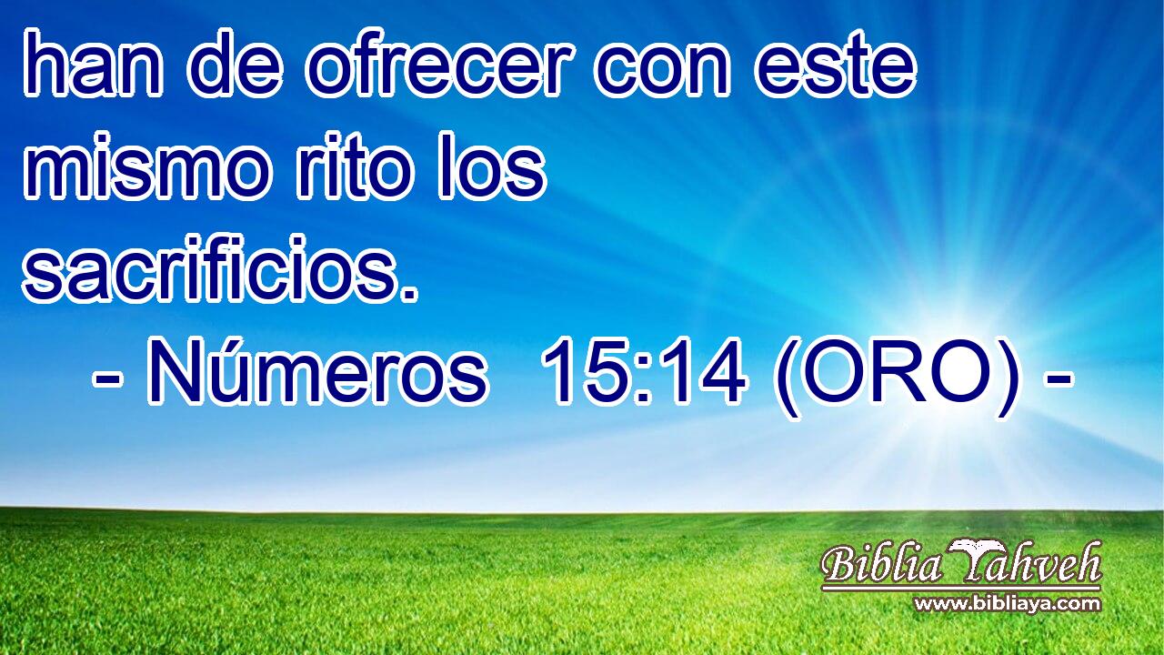  han de ofrecer con este mismo rito los sacrificios. 