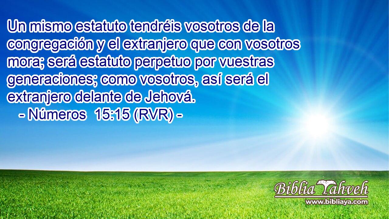 Un mismo estatuto tendréis vosotros de la congregación y el extranjero que con vosotros mora; será estatuto perpetuo por vuestras generaciones; como vosotros, así será el extranjero delante de Jehová.