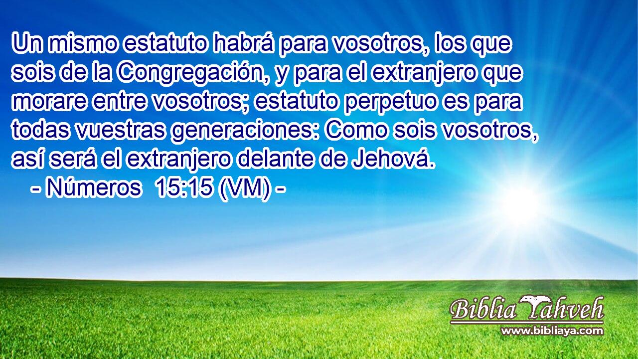 Un mismo estatuto habrá para vosotros, los que sois de la Congregación, y para el extranjero que morare entre vosotros; estatuto perpetuo es para todas vuestras generaciones: Como sois vosotros, así será el extranjero delante de Jehová. 