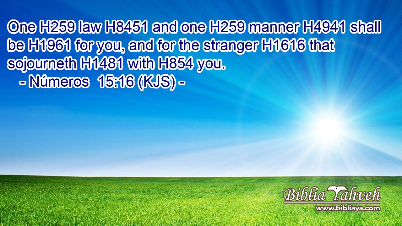 One H259 law H8451 and one H259 manner H4941 shall be H1961 for you, and for the stranger H1616 that sojourneth H1481 with H854 you.