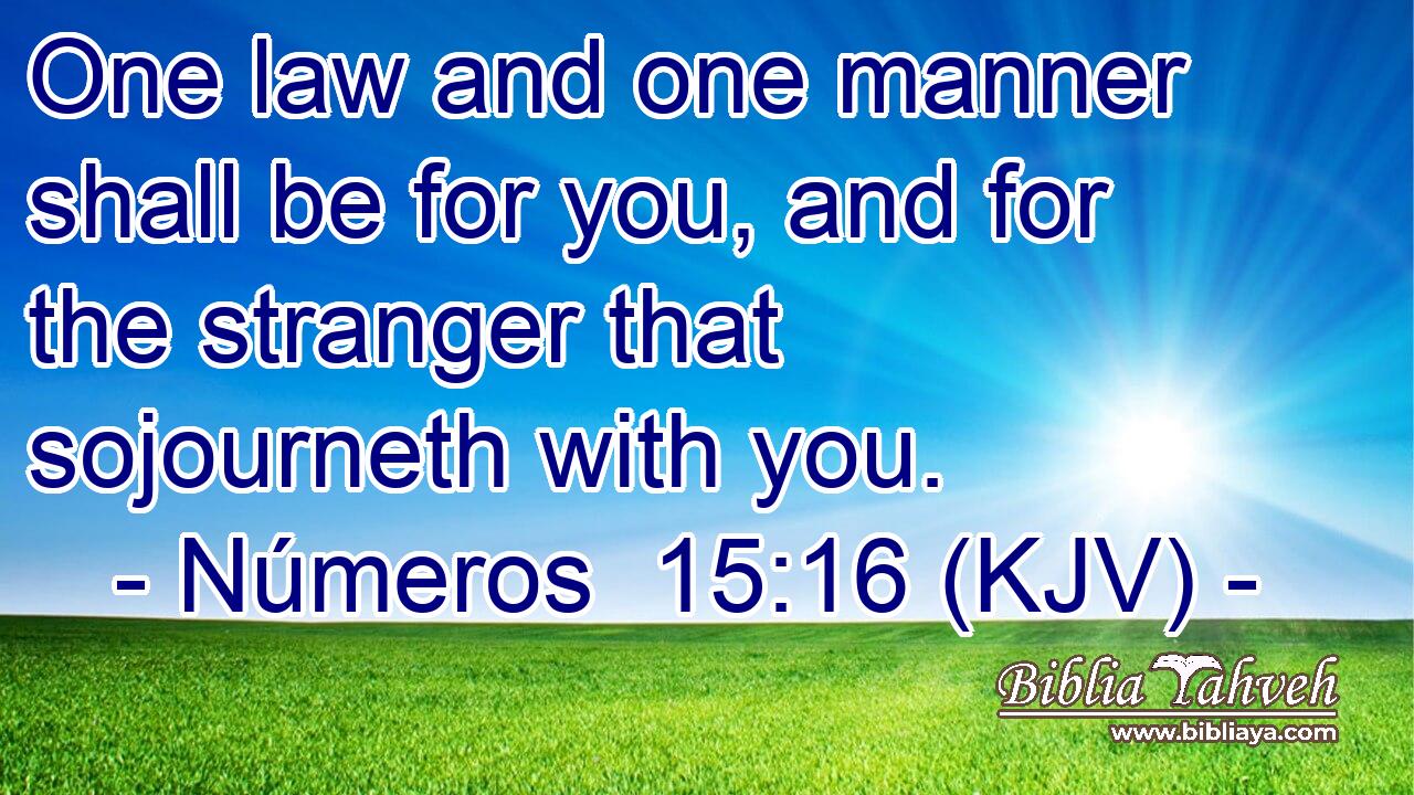 One law and one manner shall be for you, and for the stranger that sojourneth with you.