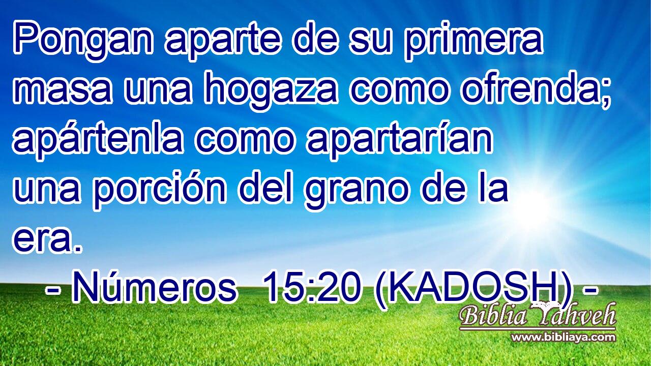 Pongan aparte de su primera masa una hogaza como ofrenda; apártenla como apartarían una porción del grano de la era. 