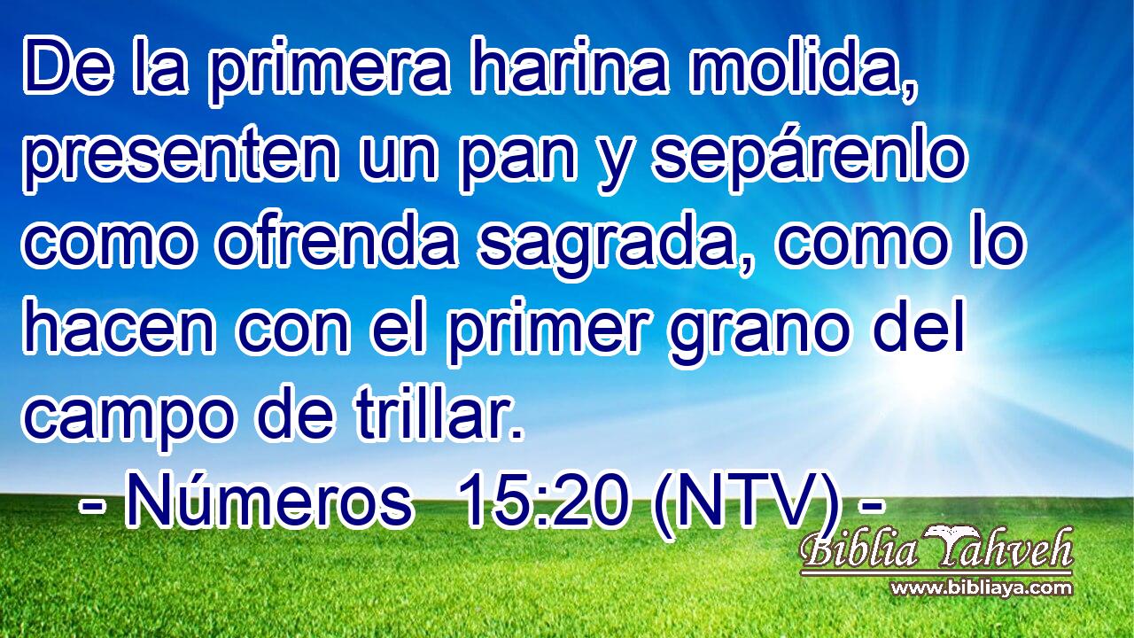 De la primera harina molida, presenten un pan y sepárenlo como ofrenda sagrada, como lo hacen con el primer grano del campo de trillar.