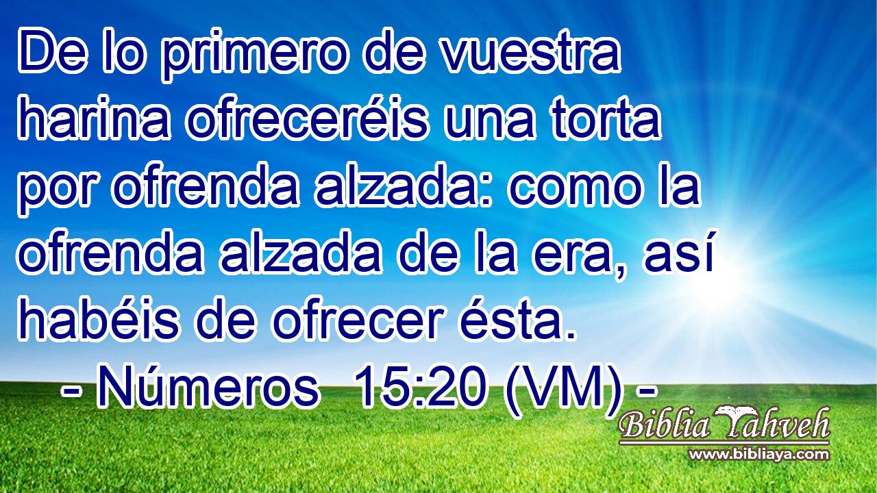  De lo primero de vuestra harina ofreceréis una torta por ofrenda alzada: como la ofrenda alzada de la era, así habéis de ofrecer ésta. 