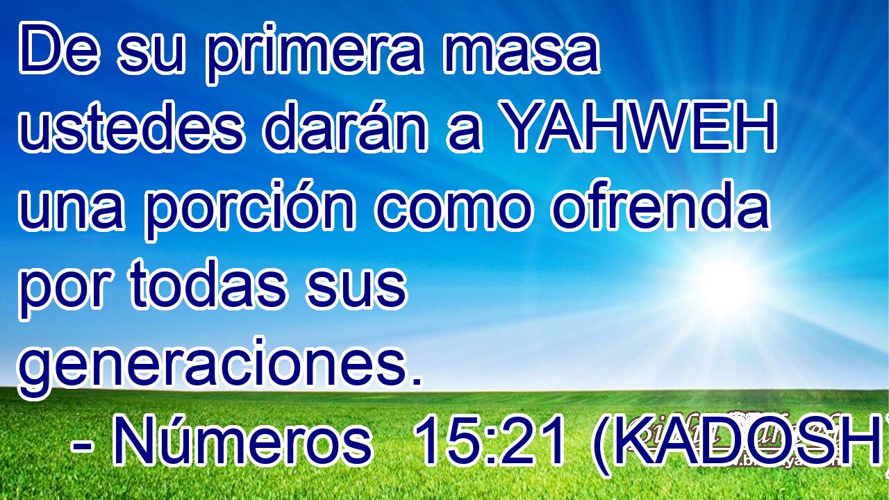  De su primera masa ustedes darán a YAHWEH una porción como ofrenda por todas sus generaciones. 