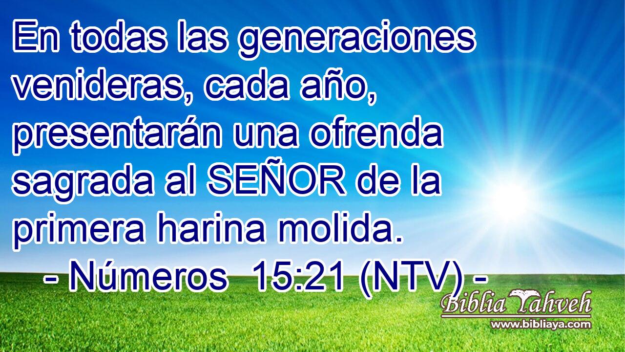 En todas las generaciones venideras, cada año, presentarán una ofrenda sagrada al SEÑOR de la primera harina molida.