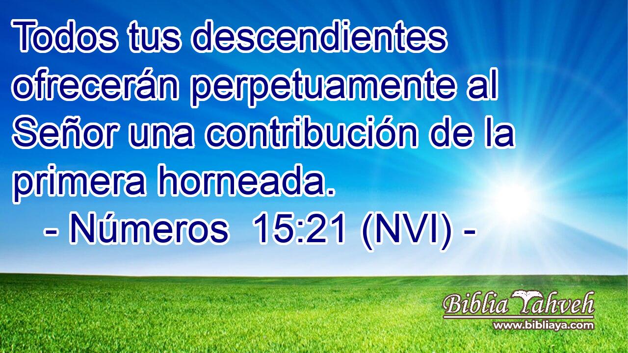  Todos tus descendientes ofrecerán perpetuamente al Señor una contribución de la primera horneada. 
